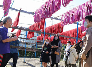 職人さんをたずね糸から綿紬ができるまでを探ろう