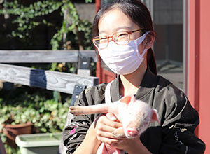 ウインナーができるまでを探ろう｜【体験】ぶたの赤ちゃんをだっこしよう・ウインナーづくり