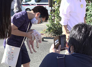 ウインナーができるまでを探ろう｜【体験】ぶたの赤ちゃんをだっこしよう・ウインナーづくり