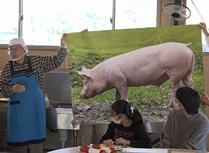ウインナーができるまでを探ろう｜【体験】ぶたの赤ちゃんをだっこしよう・ウインナーづくり