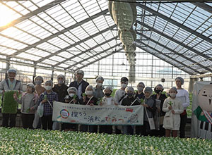 だれがどのように野菜を育てているのかを探ろう｜【体験】収穫しよう　育てようチンゲンサイ